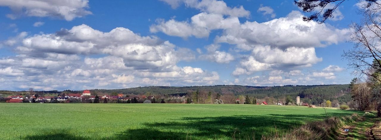 Jaro v Dobronicích