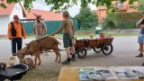 Jízda ve vozíku