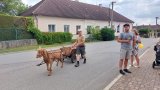 Jízda ve vozíku