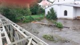 Uvolnění vzpříčeného kmenu